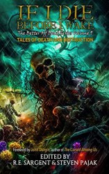 If I Die Before I Wake, Vol. 9 by Sinister Smile Press